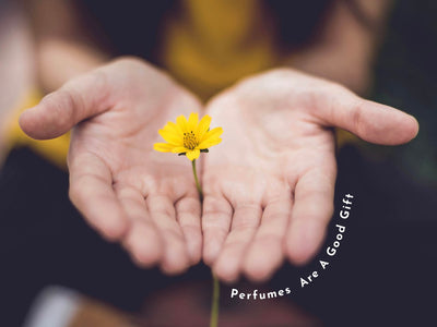 Perfumes Are A Good Gift