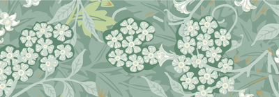 FROM THE PERFUMER’S DESK